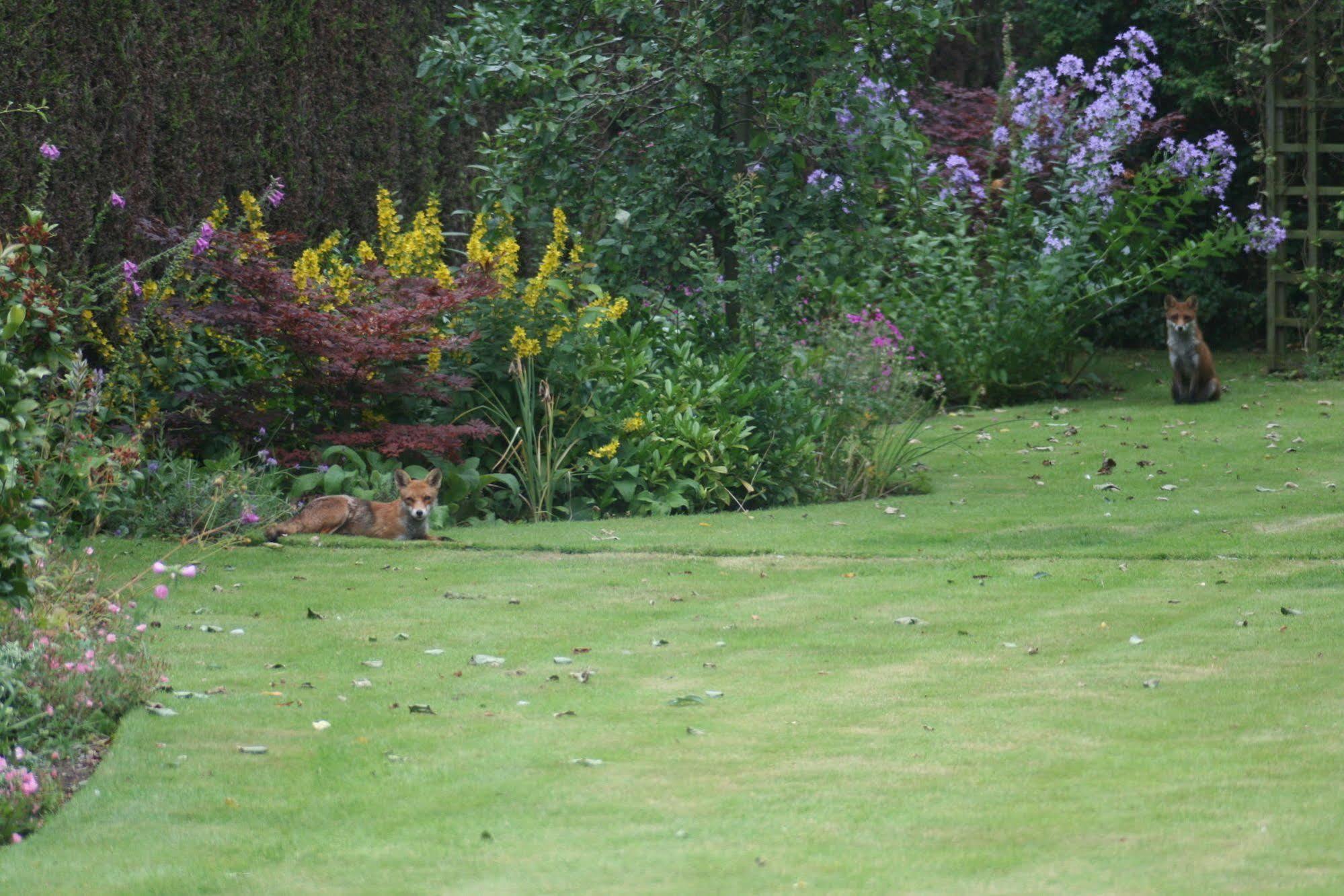 The Heathers Guest House York Eksteriør bilde